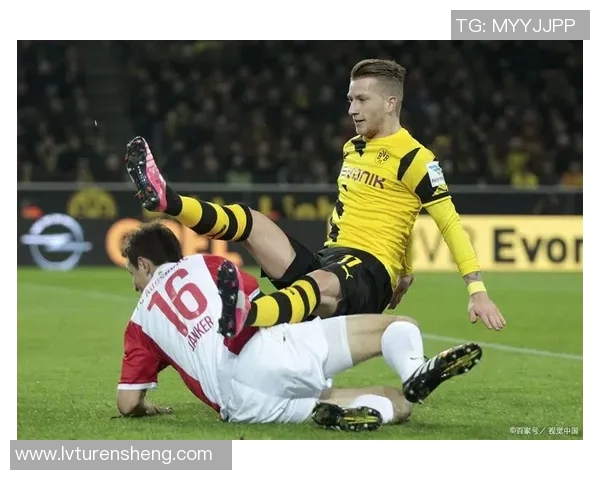 德甲联赛球队全景巡礼深度解析各队实力与战术风格